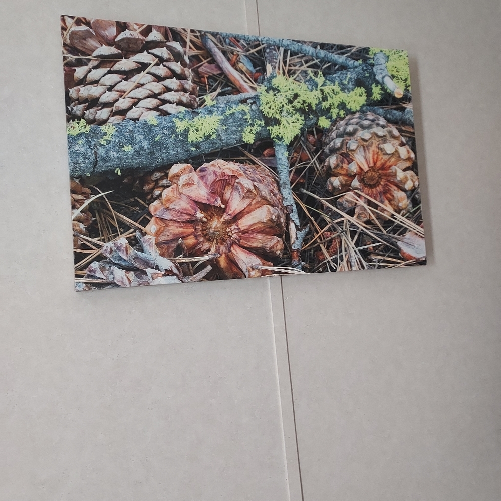 Pine cone canvas painting